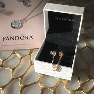 Pandora 14 KT Safety Chain